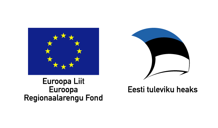 Eesti tuleviku heaks, Euroopa Liit Regionaalarengu Fond
