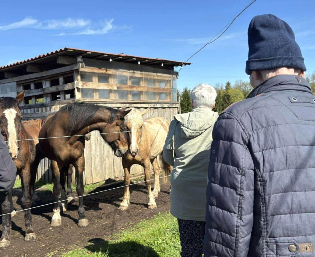 Keila Kaare kodu elanikud vaatavad hobuseid Tuula mõisa talli juures, taustal puidust laut ja sinine kevadtaevas.