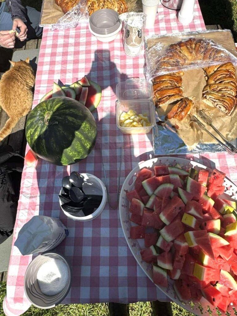 Roosa-valgeruudulise linaga kaetud piknikulaud, millel on arbuusiviilud, kringel, joogitopsid ja muud suupisted. Laua kõrval istub kass.
