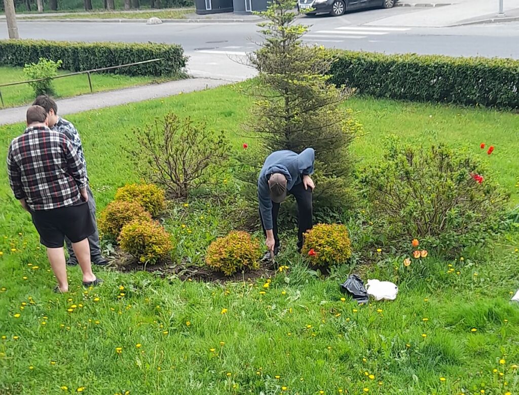 Kaks Seli kodu elanikku hooldavad maja ees haljasala – üks rohib peenart kuuse kõrval, teine seisab kõrval arutlemas.