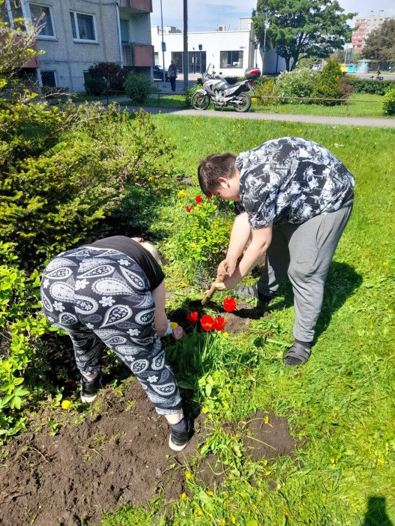 Kaks Seli kodu elanikku töötavad koos lillepeenras – üks hoiab taime, teine kaevab istutusauku punaste tulpide keskel, taustal kortermaja ja linnavaade.