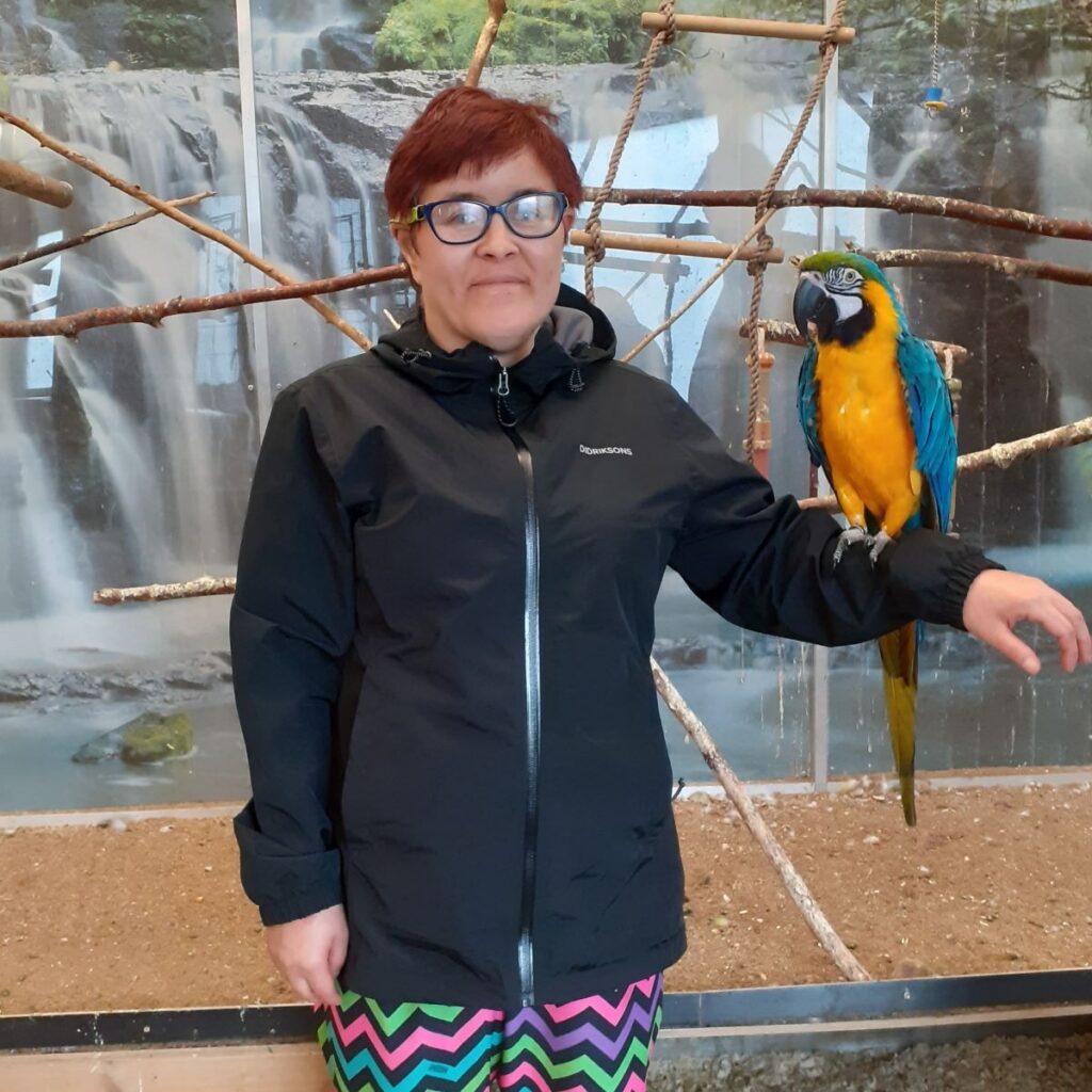 Virge papagoiga 2025