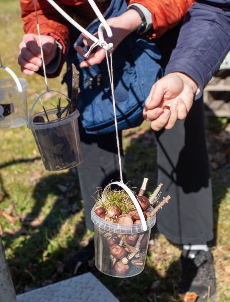 Plastikämbrid, mis on täis kastaneid, sammalt. muru ja puuoksi. 